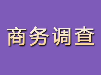 黔江商务调查